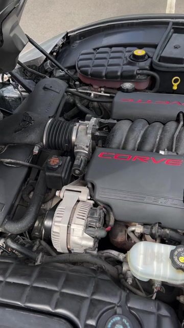 1999 Chevrolet Corvette Hardtop VIN: 1G1YY12G4X5115461 for Sale - Cars